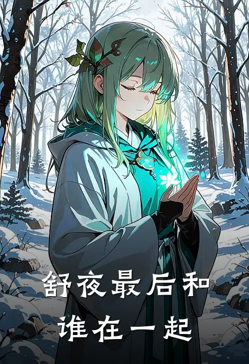 舒夜最后和谁在一起