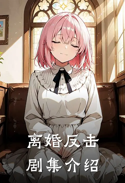 离婚反击剧集介绍