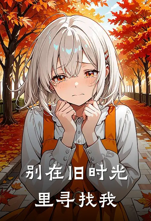 别在旧时光里寻找我